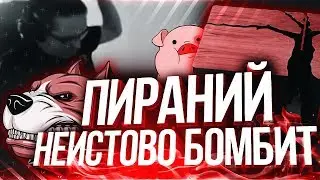 Пираний БОМБИТ|Пираний WARFACE|КВШКИ СКИФОВ|НАРЕЗКА №23|18+
