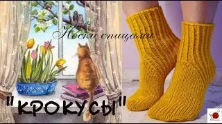 Носки 