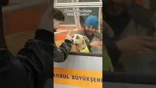 Metroda Kalp Akımını Türkiye’de Yaparsak 4 🐶😂 