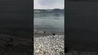 Горячий родник годами стекает в море Новороссийска