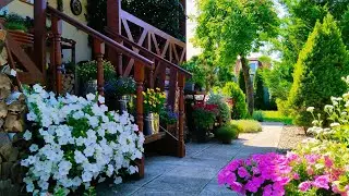 УЮТНЫЙ ДЕНЬ ДОМА🏡 Букеты из Сухоцветов🌸 Урожай Томатов в Теплице 🍅Стрижка Самшитов #garden #дом