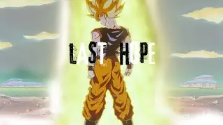 Dragon Ball Tribute {Last Hope}