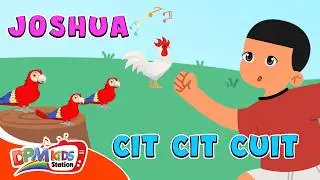 JOSHUA - CIT CIT CUIT | CIT CIT CUIT AYAM BERNYANYI | ANIMASI LAGU ANAK INDONESIA