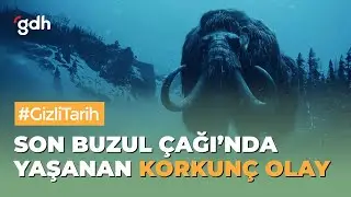 Mamutlar Bir Gecede Nasıl Yok Oldu?