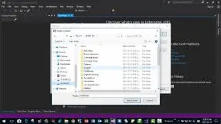 How to reset Visual Studio Environment options