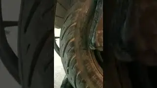 कबूतर देखो कहां पर बैठा है 😂 pigeon sitting under my scooter #shorts #youtubeshorts #viral #trending