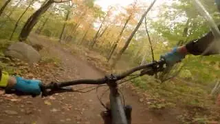 Spirit Mountain - Smorgasbord | Happy Camper | Wild Cat