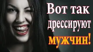 ❌Как дрессировать мужчину?  Как женщины ломают мужчин? Как из мужчин делают подкаблучников?