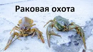 Рыбалка на новой набережной Киева на реке Днепр #6 выпуск