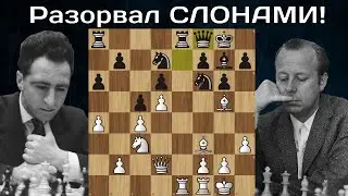 Лев со Слонами разорвали Волка 😱 Полугаевский - Ульман ♟ Шахматы