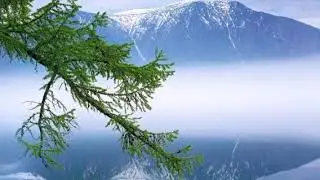 Осенью в просини