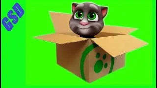 My Talking Tom 2 in REAL LIFE | How Talking Tom settled in our house | Green Screens