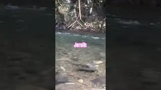 Indah #sungai #airterjun #waterfall #river