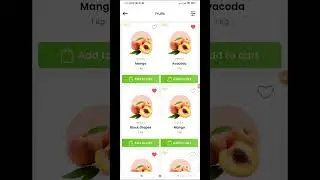 Flutter UI
