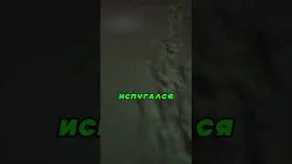 Вот Что Такое Проснуться С Бодуна 😂🔥👍