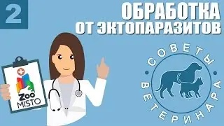 Защита от Блох и клещей | Эктопаразиты | Советы Ветеринара