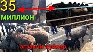 ЭГЗАКЧИ КУЙЛАР ВА ОПТОМ СОТИЛГАН ХИСОРИ КУЙЛАР