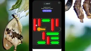 Hamster combat 17 September Daily Combo Daily Mini Game Daily Cipher |Hamster daily Combo Today