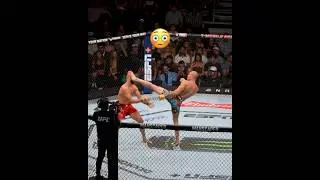 Alex Pereira vs. Jiri Prochazka 