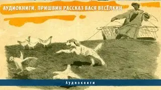 Аудиокниги. Пришвин Рассказ Вася Весёлкин