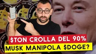 Elon Musk: Manipolazione di Dogecoin? TON Crolla del 90%