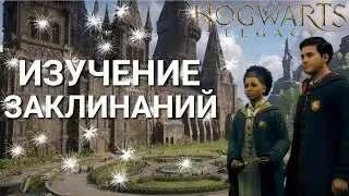 №3|Hogwarts Legacy|Поле призывателя и поиск плюй-камней