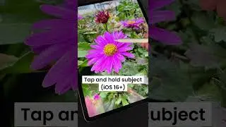Mind Blowing Procreate Trick! - #shorts