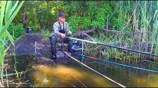 КІЛОГРАМОВІ КАРАСІ на ПОПЛАВОК, ЦЕ КАЙФ!!! 🐟 Рибалка на карася.🎣 Ловля на поплавок.