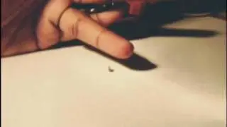 Magnetic Implants - Playing with magnets