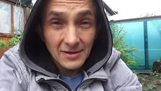 ДАФНИЯ НА ПРИРОДЕ (2)
