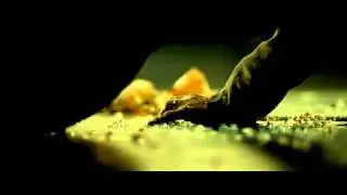 22 пули: Бессмертный (2010) DVDRip|Фильм|Боевик