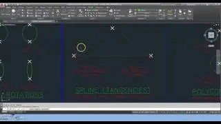 AutoCAD Student Shape Worksheet Drawing Spline Tangency Command