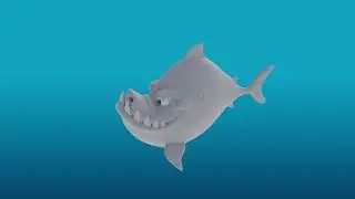 Shark