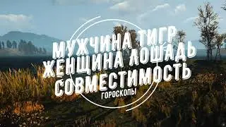 Совместимость мужчина Тигр и женщина Лошадь