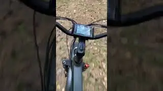 Езда по лесу на электрофэтбайке Eco Drive V12 с мощным мотором 1000Вт