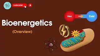 Introduction to Bioenergetics | Bioenergetics overview | Class 11