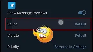 Telegram Notification And Sounds Change || Customize Telegram Notification ✌️