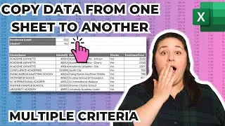 Copy Rows from One Sheet to Another with Multiple Criteria | Excel Filter Trick