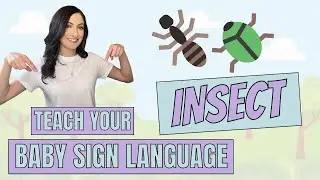 ASL sign for INSECT & BUG - Teach Your Baby Sign Language!