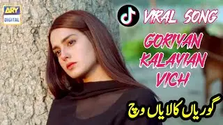 Goriyan Kalayian Vich | Ameer Niazi | Akhiyan Hin Talwaar | New TikTok Viral Song 2024