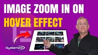 Elevate Your Design: Elementors Image Zoom & Lightbox Unleashed!