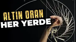 Altın Oran: Kutsal Bir Mesaj mı, Koca Bir Yalan mı?