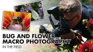 Flower and Bug Macro Photography In The Field | Macro Photography