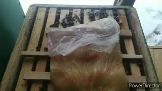 Малоформатные улья. Февраль-23