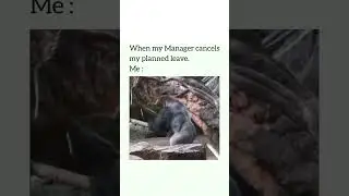 When My Manager Cancels My Planned Leaves 😡 | Funny Meme 🦍 #shorts