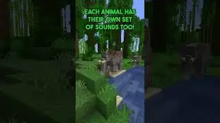 Unleash the Wild in Minecraft with the Naturalist Mod!! | Modded Minecraft - Naturalist Mod