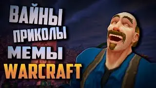 WoW LoL - ЛУЧШИЕ ПРИКОЛЫ, ВАЙНЫ МЕМЫ ВАРКРАФТ: Эпизод #1