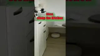 Demonstration of how Alexa & Xiaomi Vacuum Robot Take Over! 1c Mijia!