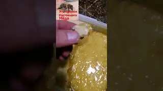что это в Мёде?