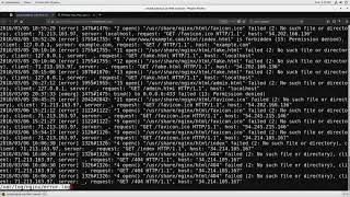 3 Reverse Proxy with proxy pass